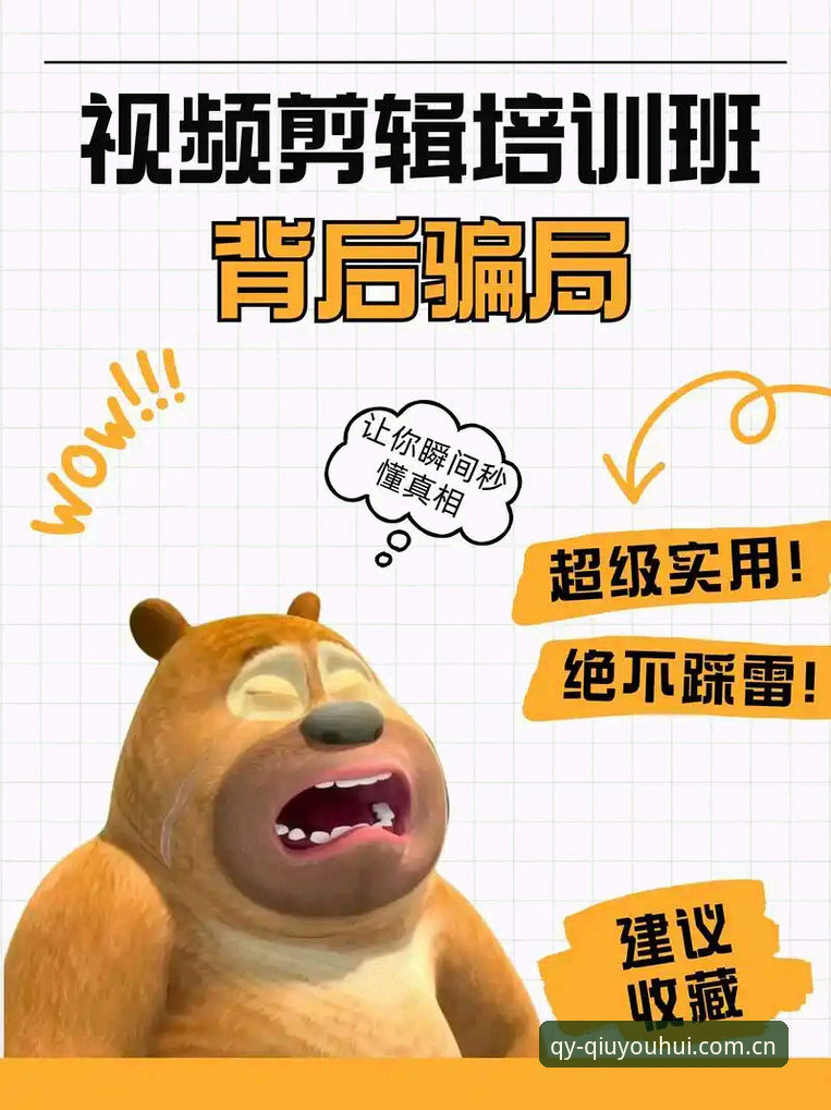 球友会体育直播常见问题 揭秘球友会体育直播常见问题背后的真相:资深玩家不会告诉你的5个关键细节